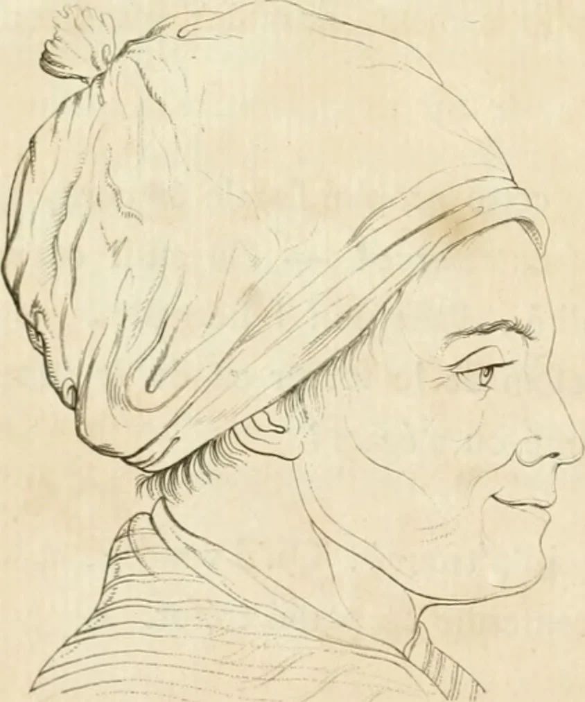 An illustration from Essai sur la physiognomonie : destiné a faire connoître l'homme & à le faire aimer, 1781, leaf 31