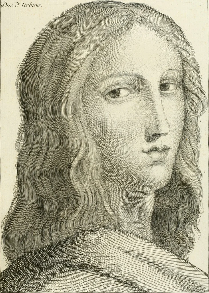 An illustration from Essai sur la physiognomonie : destiné a faire connoître l'homme & à le faire aimer, 1781, leaf 362