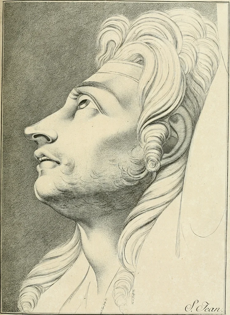 An illustration from Essai sur la physiognomonie : destiné a faire connoître l'homme & à le faire aimer, 1781, leaf 376