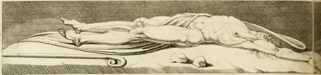 An illustration from Essai sur la physiognomonie : destiné a faire connoître l'homme & à le faire aimer, 1781, leaf 381