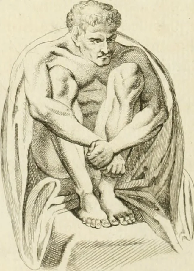 An illustration from Essai sur la physiognomonie : destiné a faire connoître l'homme & à le faire aimer, 1781, leaf 381