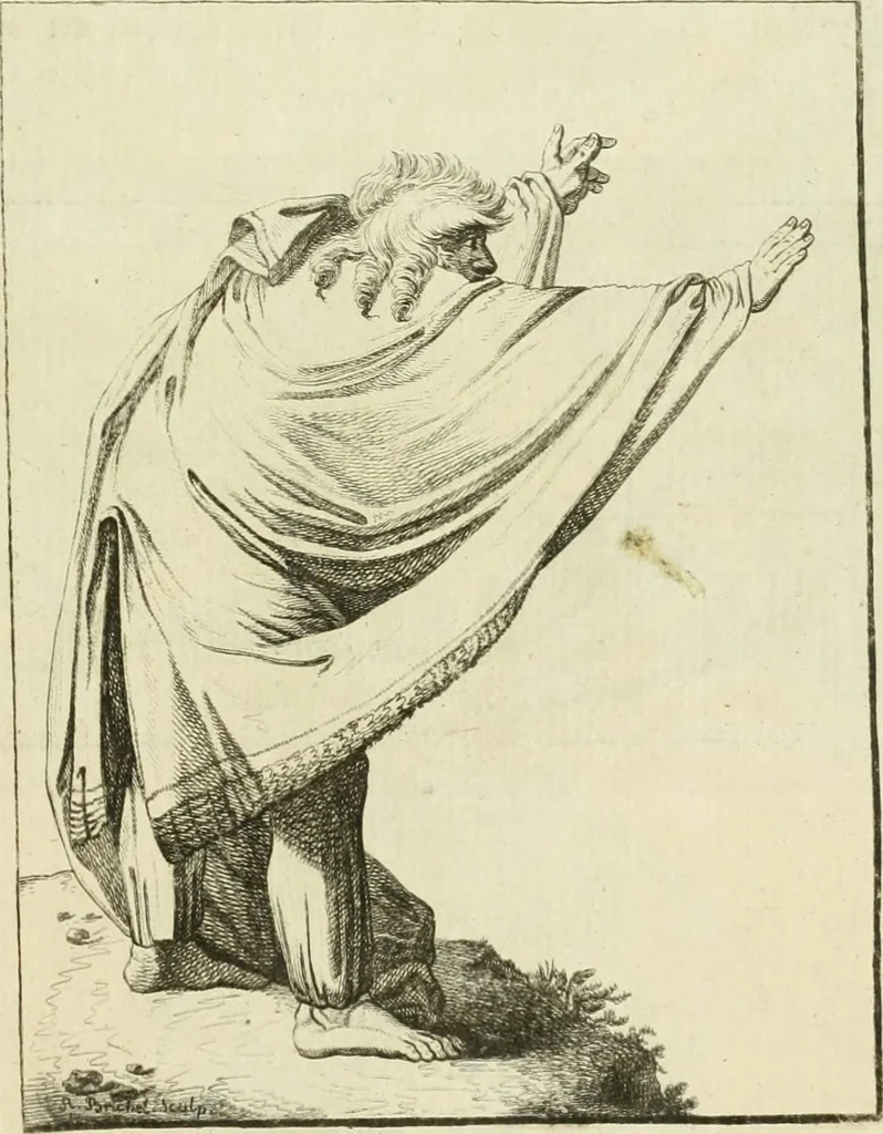 An illustration from Essai sur la physiognomonie : destiné a faire connoître l'homme & à le faire aimer, 1781, leaf 382