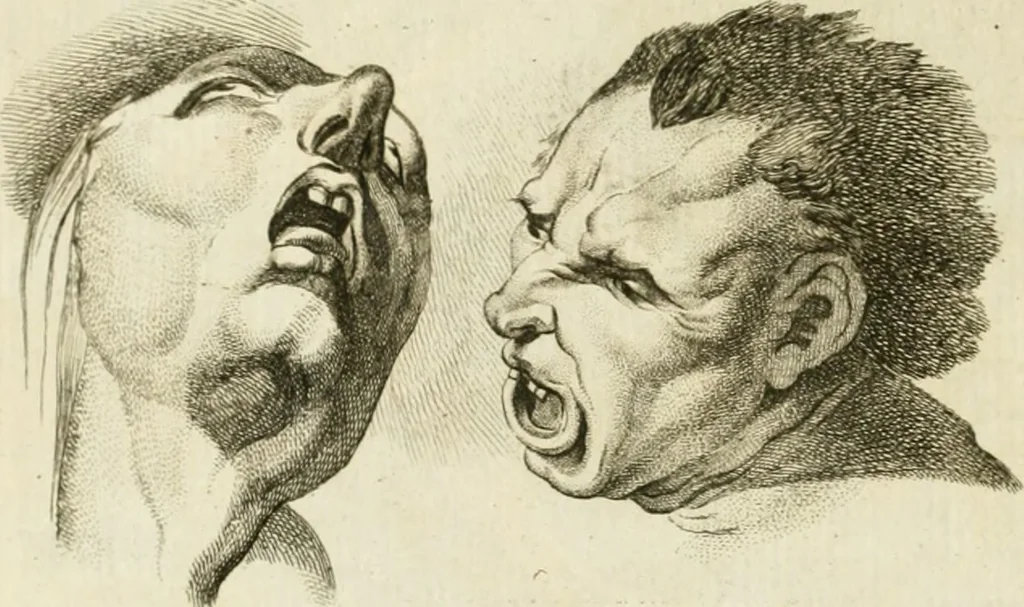 An illustration from Essai sur la physiognomonie : destiné a faire connoître l'homme & à le faire aimer, 1781, leaf 385