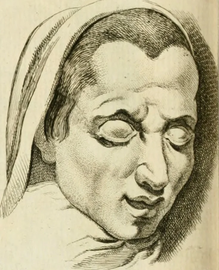 An illustration from Essai sur la physiognomonie : destiné a faire connoître l'homme & à le faire aimer, 1781, leaf 385