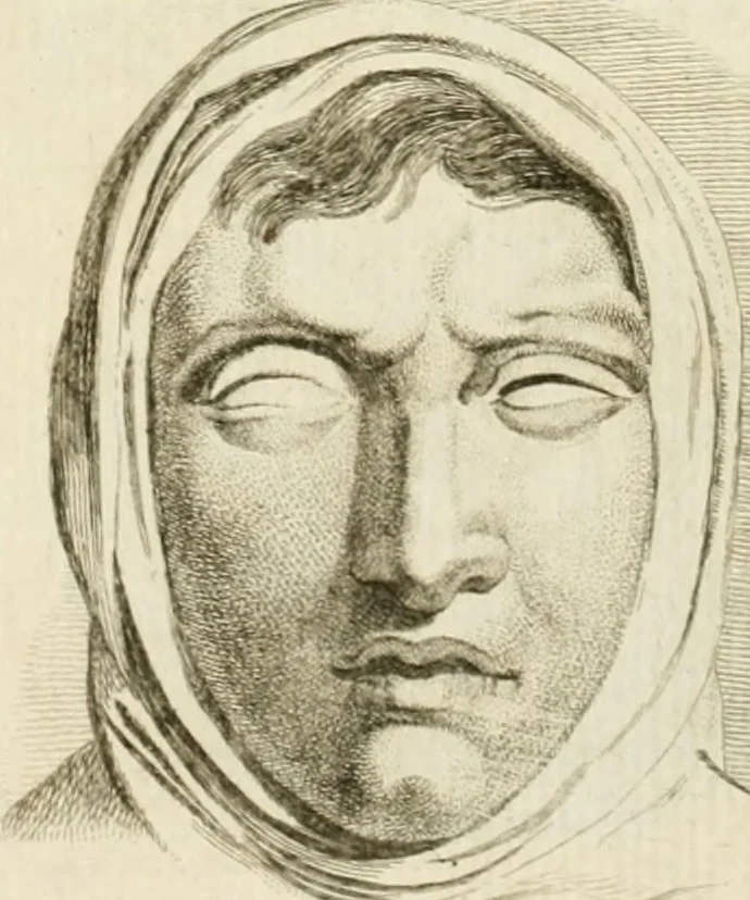 An illustration from Essai sur la physiognomonie : destiné a faire connoître l'homme & à le faire aimer, 1781, leaf 385