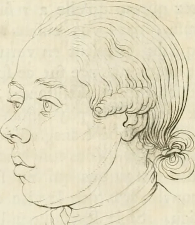 An illustration from Essai sur la physiognomonie : destiné a faire connoître l'homme & à le faire aimer, 1781, leaf 401