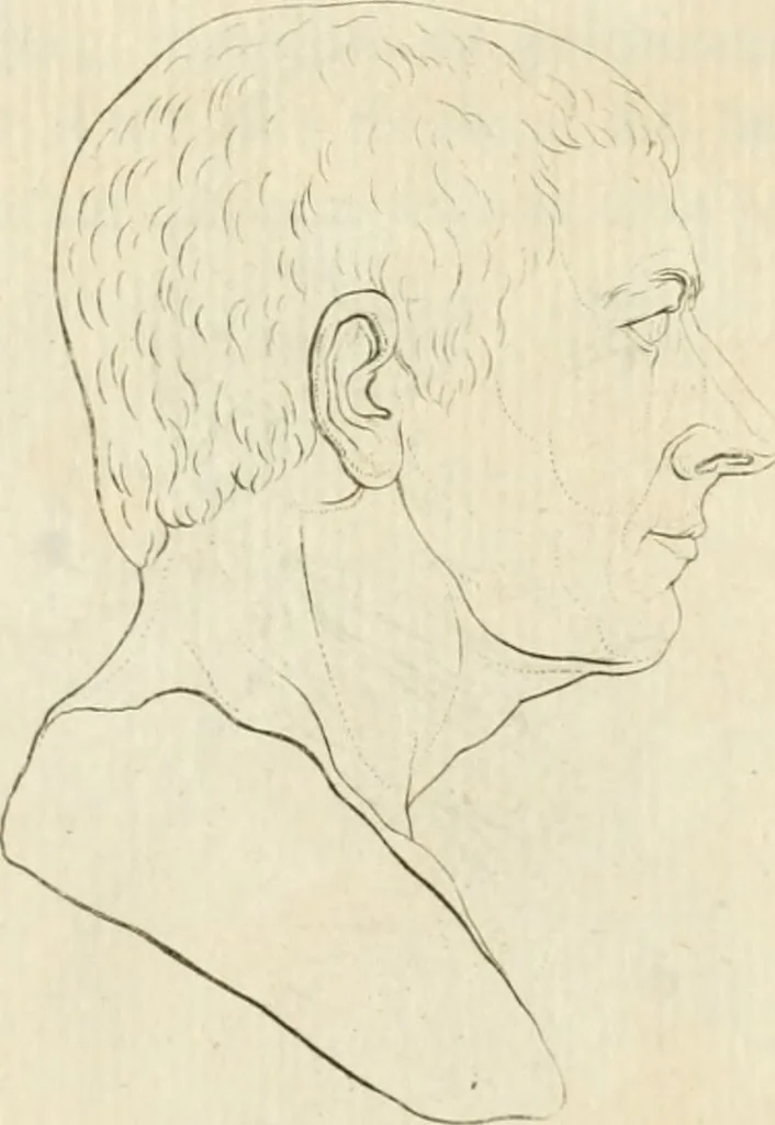 An illustration from Essai sur la physiognomonie : destiné a faire connoître l'homme & à le faire aimer, 1781, leaf 403
