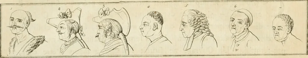 An illustration from Essai sur la physiognomonie : destiné a faire connoître l'homme & à le faire aimer, 1781, leaf 41