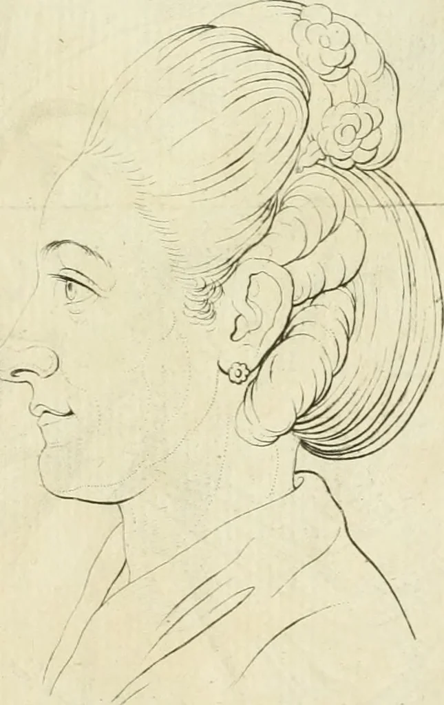 An illustration from Essai sur la physiognomonie : destiné a faire connoître l'homme & à le faire aimer, 1781, leaf 412