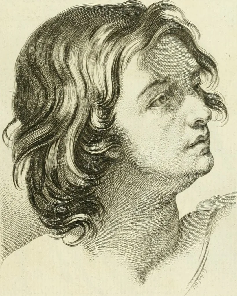 An illustration from Essai sur la physiognomonie : destiné a faire connoître l'homme & à le faire aimer, 1781, leaf 426