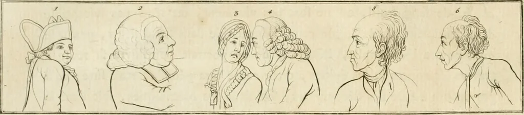 An illustration from Essai sur la physiognomonie : destiné a faire connoître l'homme & à le faire aimer, 1781, leaf 43