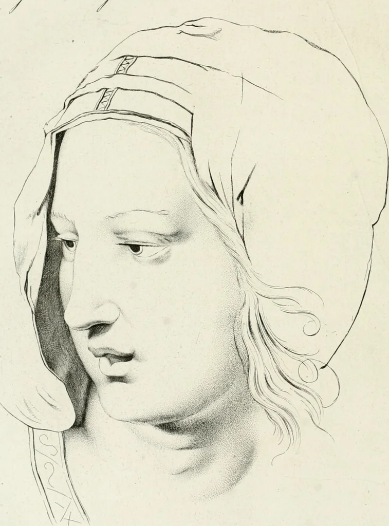 An illustration from Essai sur la physiognomonie : destiné a faire connoître l'homme & à le faire aimer, 1781, leaf 431