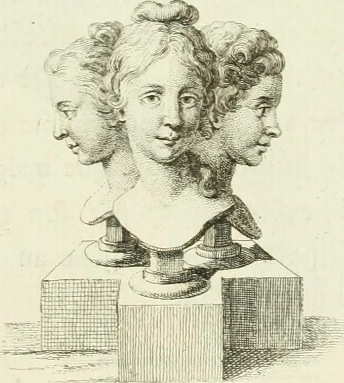 An illustration from Essai sur la physiognomonie : destiné a faire connoître l'homme & à le faire aimer, 1781, leaf 432