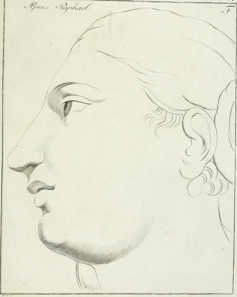 An illustration from Essai sur la physiognomonie : destiné a faire connoître l'homme & à le faire aimer, 1781, leaf 436