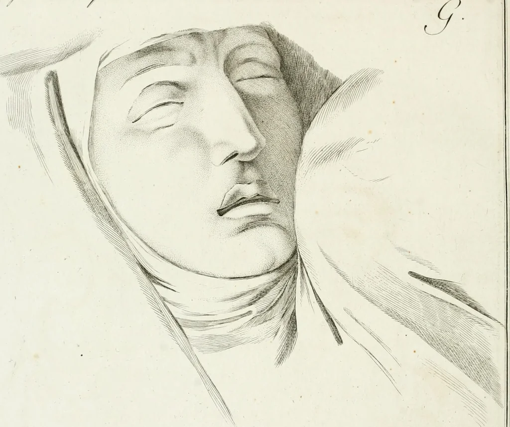 An illustration from Essai sur la physiognomonie : destiné a faire connoître l'homme & à le faire aimer, 1781, leaf 437
