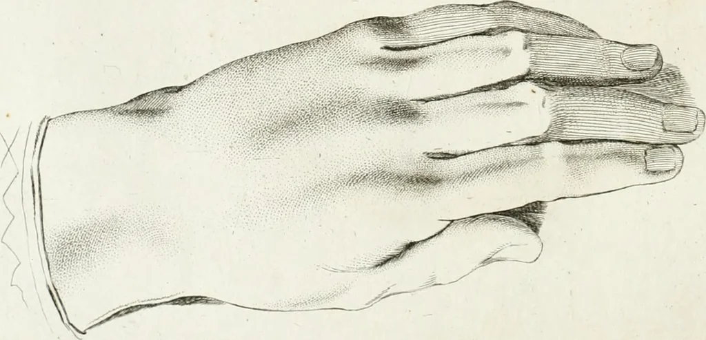 An illustration from Essai sur la physiognomonie : destiné a faire connoître l'homme & à le faire aimer, 1781, leaf 437