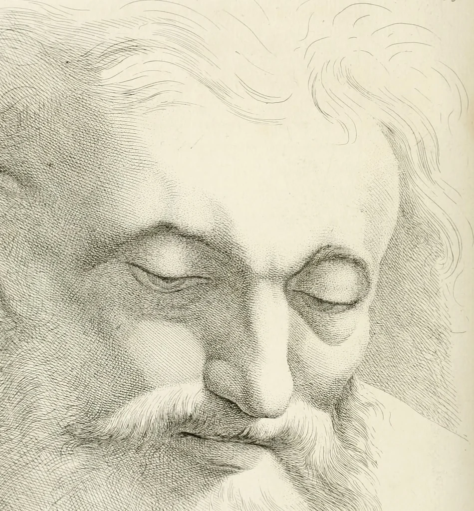 An illustration from Essai sur la physiognomonie : destiné a faire connoître l'homme & à le faire aimer, 1781, leaf 441