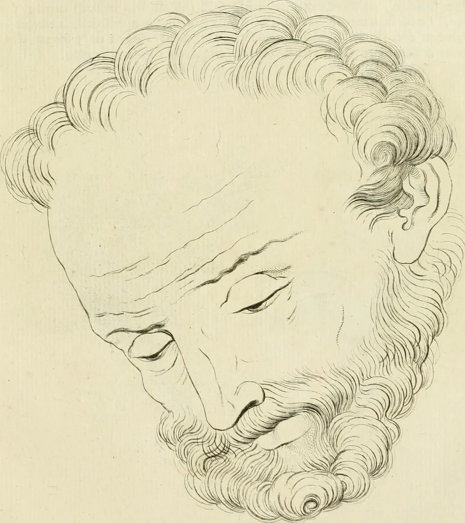 An illustration from Essai sur la physiognomonie : destiné a faire connoître l'homme & à le faire aimer, 1781, leaf 444