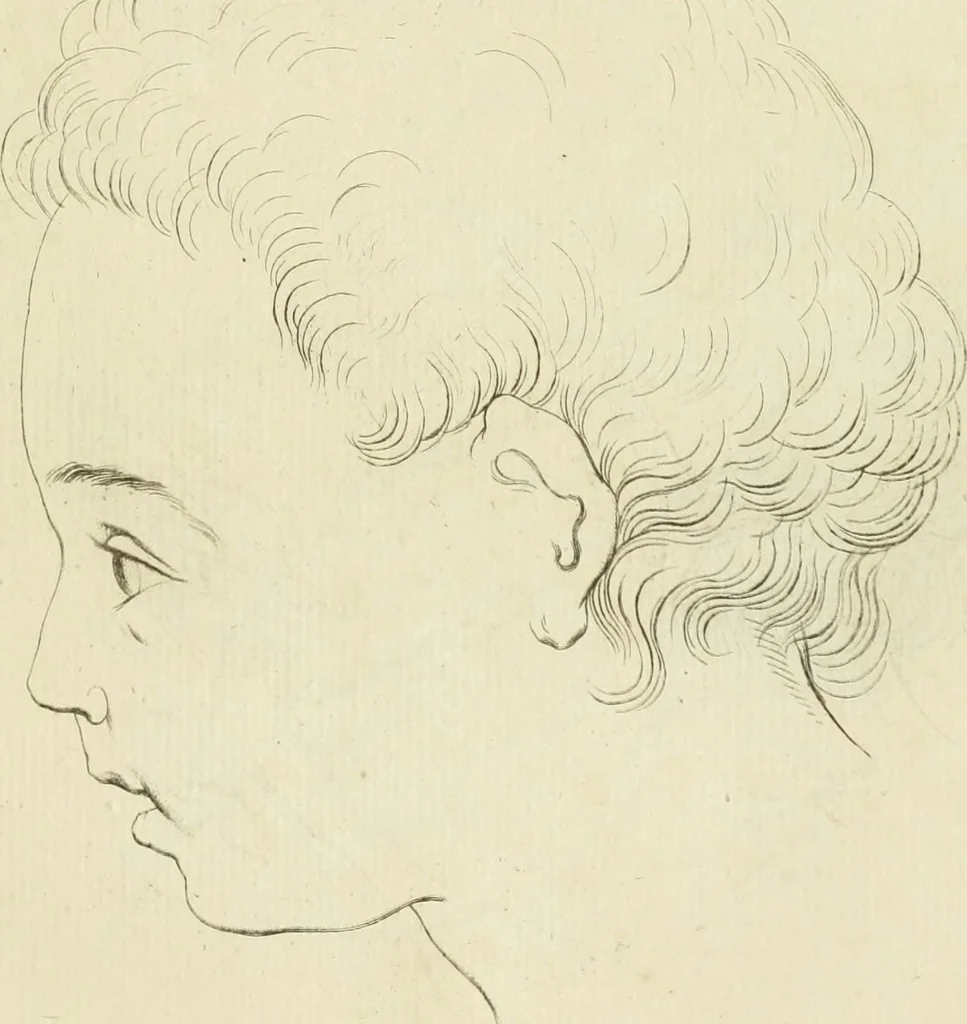 An illustration from Essai sur la physiognomonie : destiné a faire connoître l'homme & à le faire aimer, 1781, leaf 446
