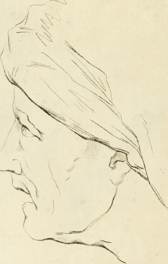 An illustration from Essai sur la physiognomonie : destiné a faire connoître l'homme & à le faire aimer, 1781, leaf 447