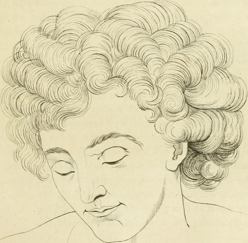 An illustration from Essai sur la physiognomonie : destiné a faire connoître l'homme & à le faire aimer, 1781, leaf 448