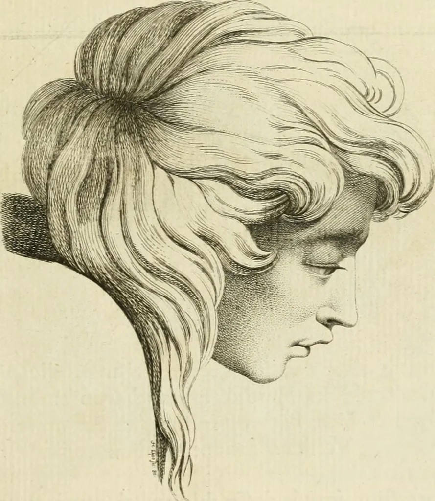 An illustration from Essai sur la physiognomonie : destiné a faire connoître l'homme & à le faire aimer, 1781, leaf 458