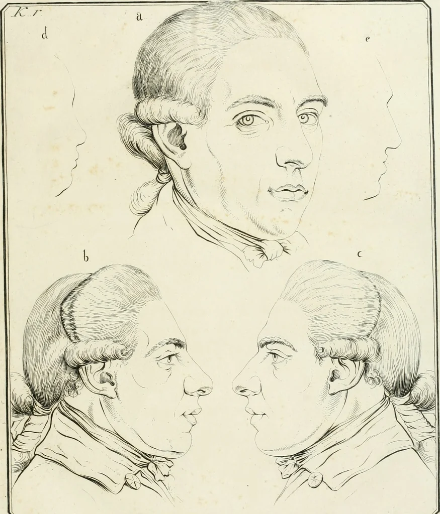 An illustration from Essai sur la physiognomonie : destiné a faire connoître l'homme & à le faire aimer, 1781, leaf 46