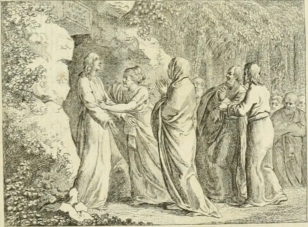 An illustration from Essai sur la physiognomonie : destiné a faire connoître l'homme & à le faire aimer, 1781, leaf 466