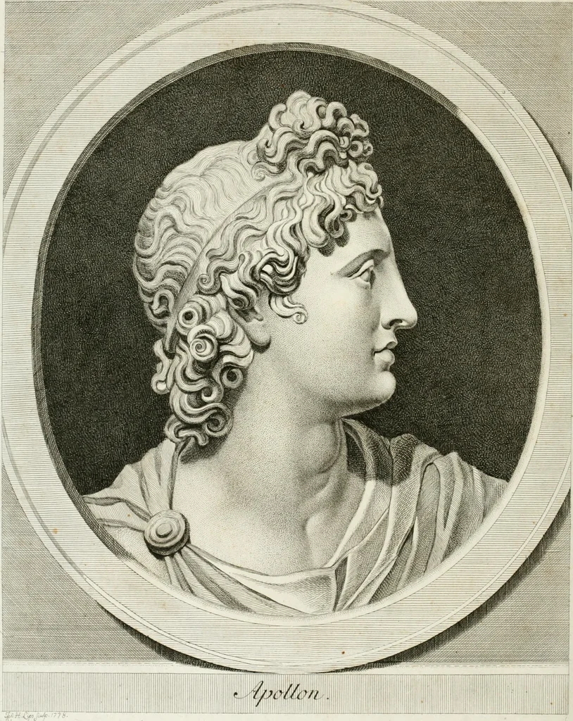 An illustration from Essai sur la physiognomonie : destiné a faire connoître l'homme & à le faire aimer, 1781, leaf 485
