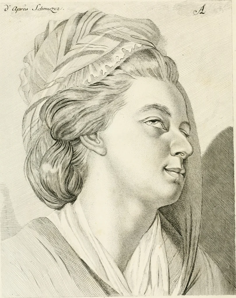 An illustration from Essai sur la physiognomonie : destiné a faire connoître l'homme & à le faire aimer, 1781, leaf 49
