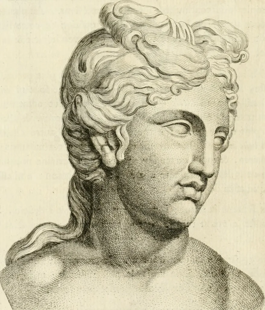 An illustration from Essai sur la physiognomonie : destiné a faire connoître l'homme & à le faire aimer, 1781, leaf 493