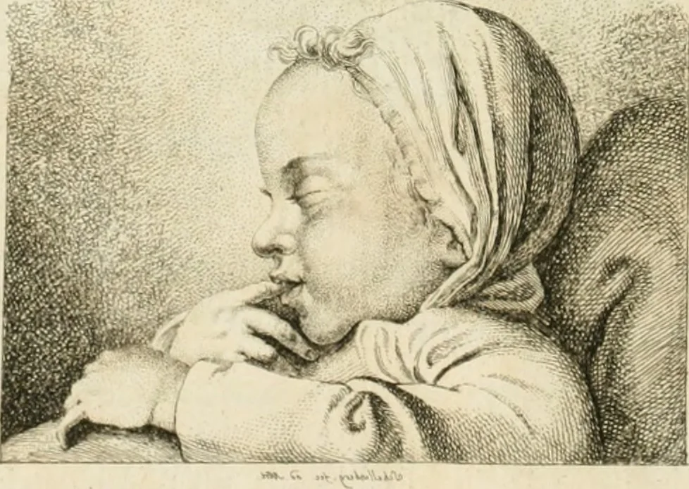 An illustration from Essai sur la physiognomonie : destiné a faire connoître l'homme & à le faire aimer, 1781, leaf 53