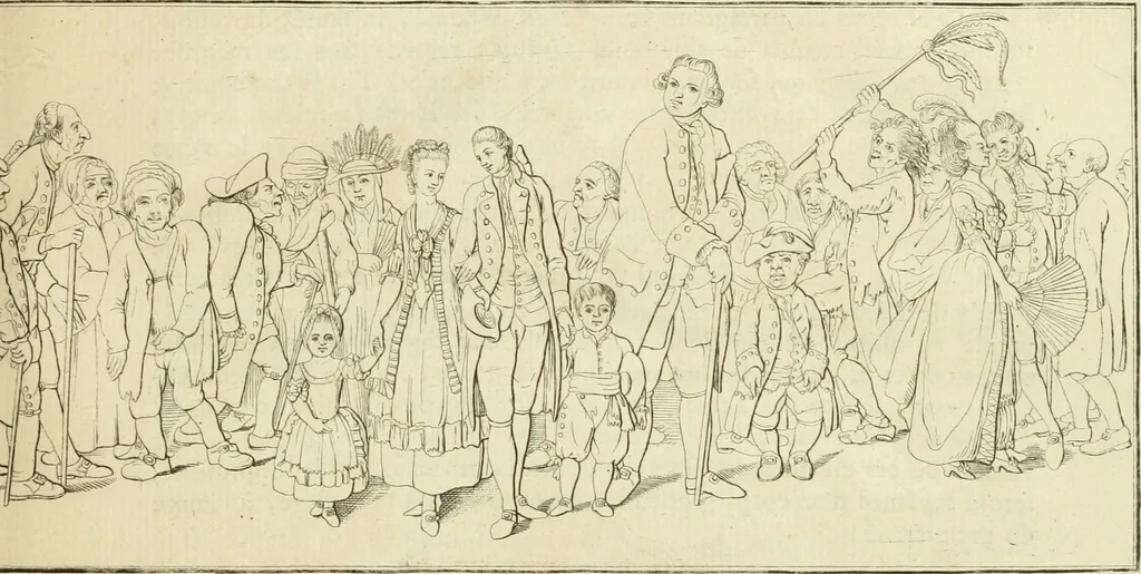 An illustration from Essai sur la physiognomonie : destiné a faire connoître l'homme & à le faire aimer, 1781, leaf 62