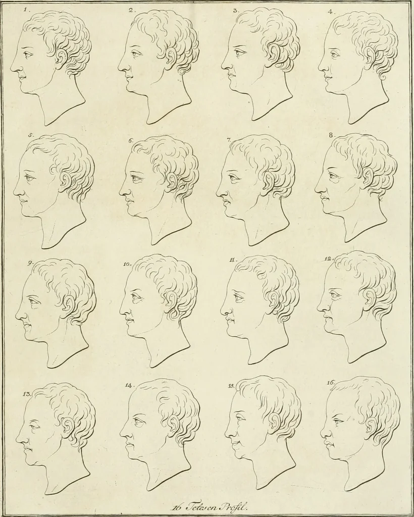 An illustration from Essai sur la physiognomonie : destiné a faire connoître l'homme & à le faire aimer, 1781, leaf 80