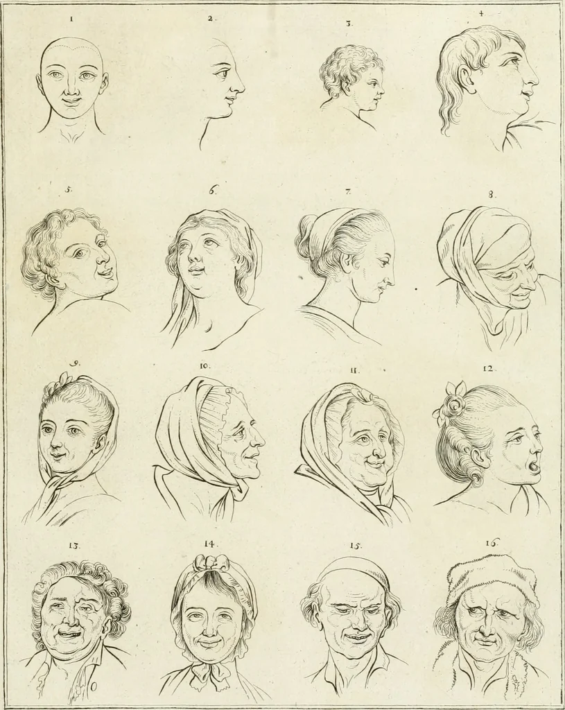 An illustration from Essai sur la physiognomonie : destiné a faire connoître l'homme & à le faire aimer, 1781, leaf 82