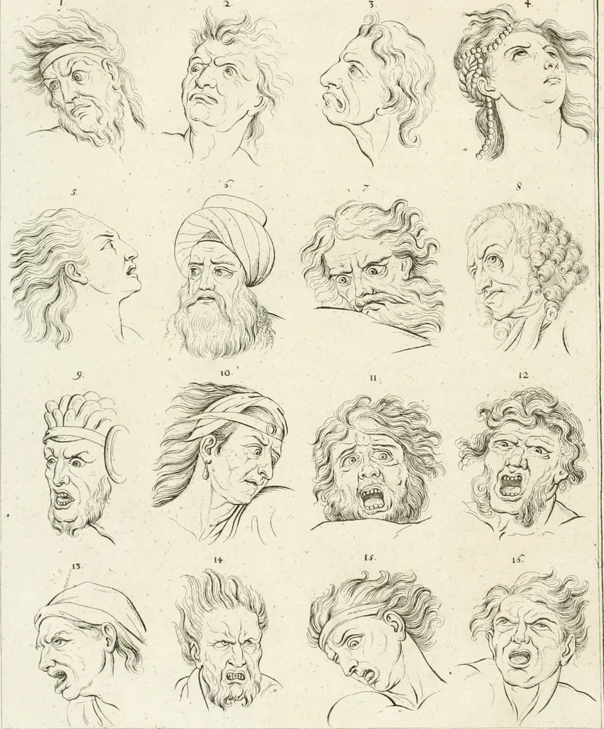 An illustration from Essai sur la physiognomonie : destiné a faire connoître l'homme & à le faire aimer, 1781, leaf 83
