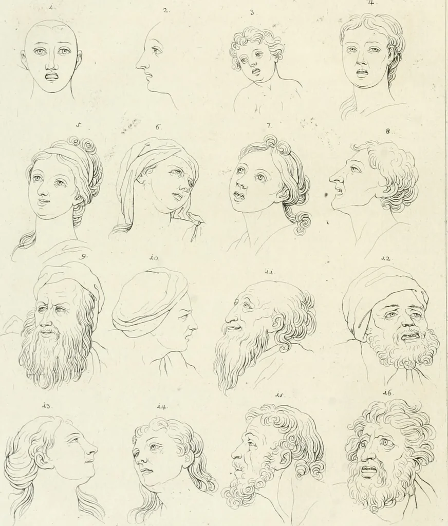 An illustration from Essai sur la physiognomonie : destiné a faire connoître l'homme & à le faire aimer, 1781, leaf 87