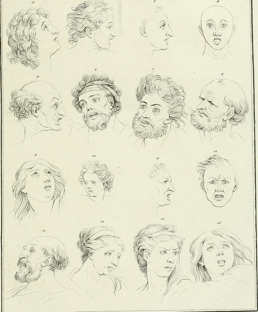 An illustration from Essai sur la physiognomonie : destiné a faire connoître l'homme & à le faire aimer, 1781, leaf 90