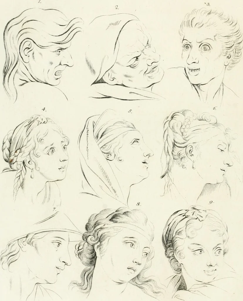 An illustration from Essai sur la physiognomonie : destiné a faire connoître l'homme & à le faire aimer, 1781, leaf 93
