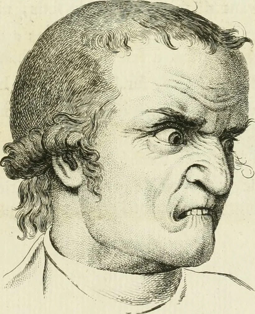An illustration from Essai sur la physiognomonie : destiné a faire connoître l'homme & à le faire aimer, 1781, leaf 94