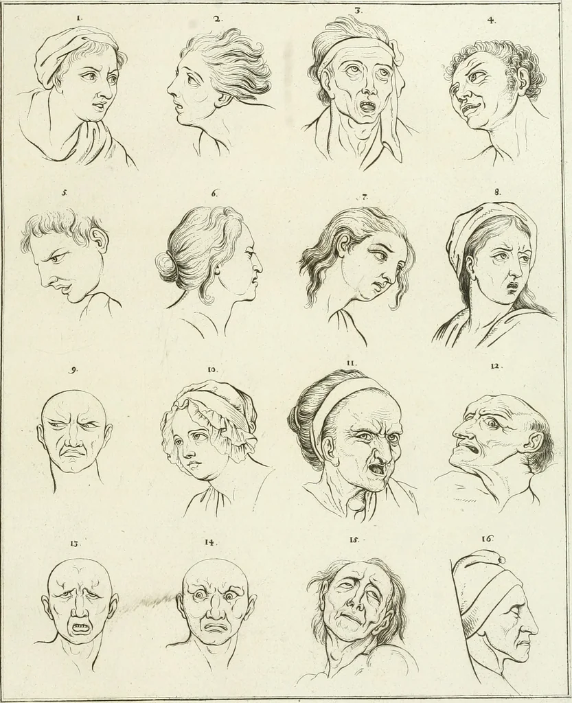 An illustration from Essai sur la physiognomonie : destiné a faire connoître l'homme & à le faire aimer, 1781, leaf 96