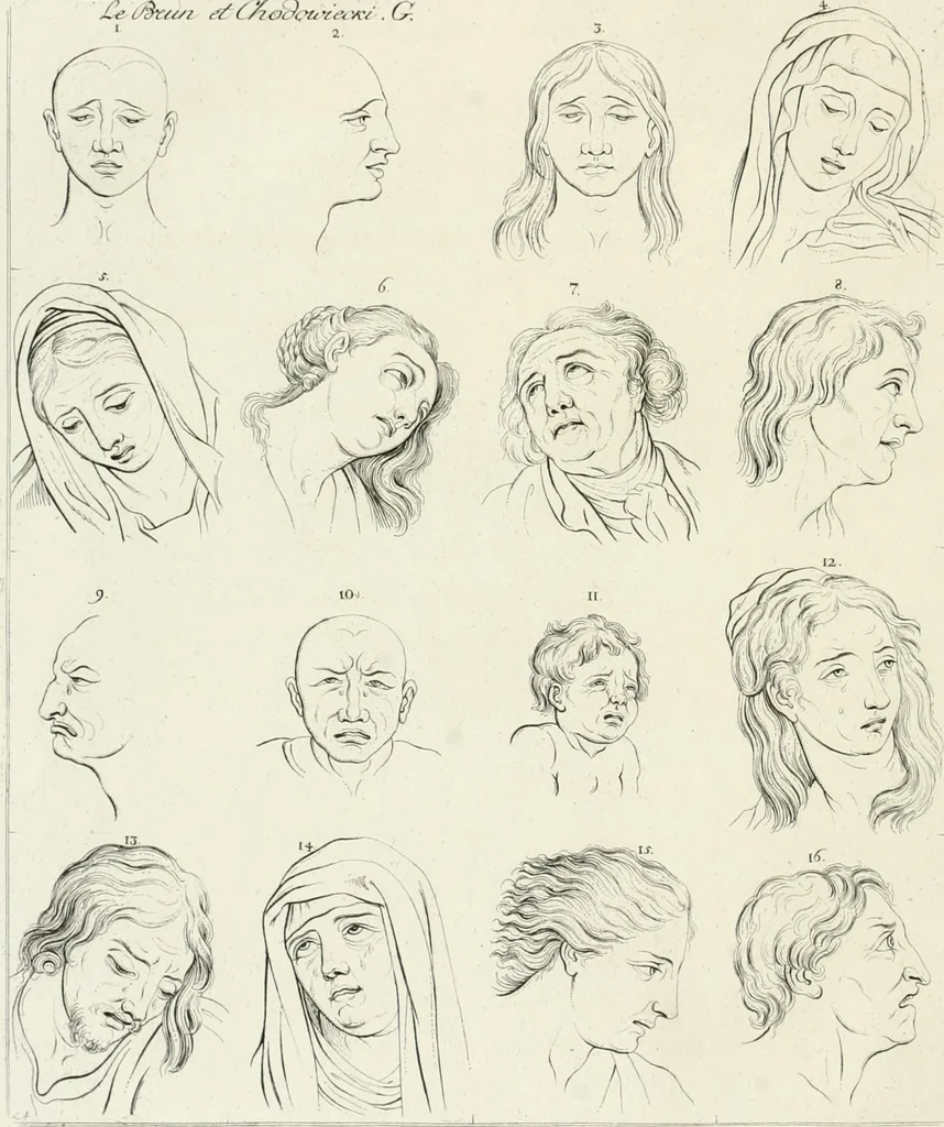 An illustration from Essai sur la physiognomonie : destiné a faire connoître l'homme & à le faire aimer, 1781, leaf 99