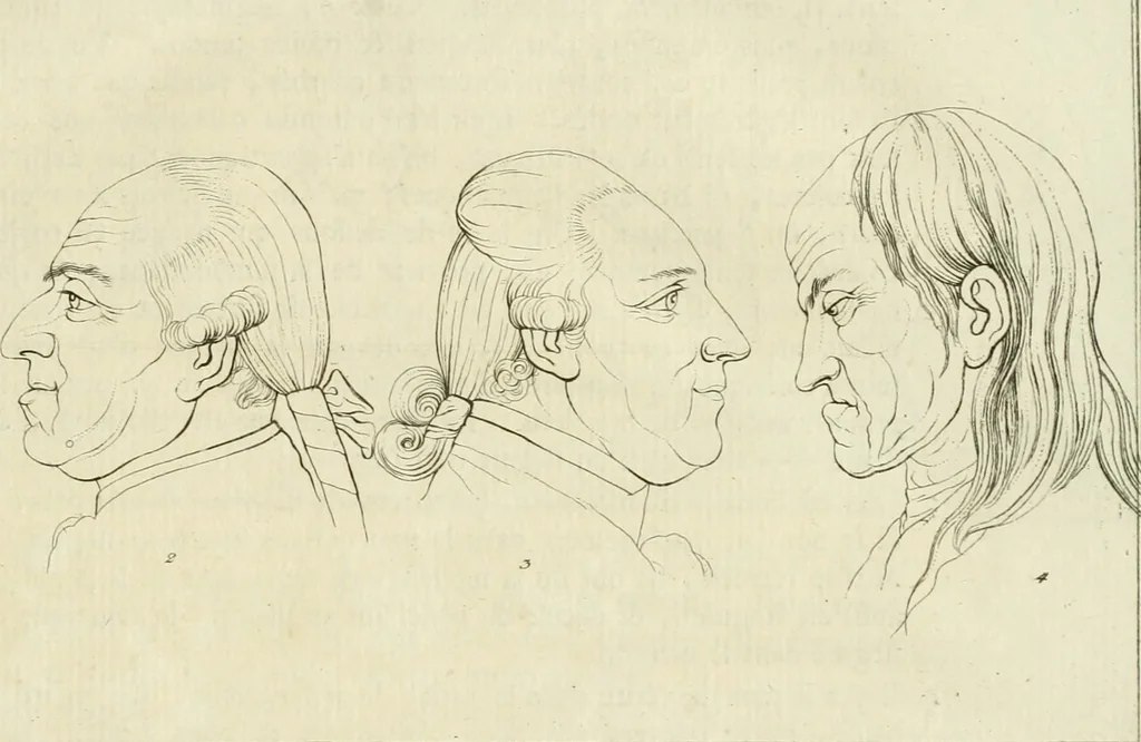 An illustration from Essai sur la physiognomonie : destiné a faire connoître l'homme & à le faire aimer, 1781, leaf 108