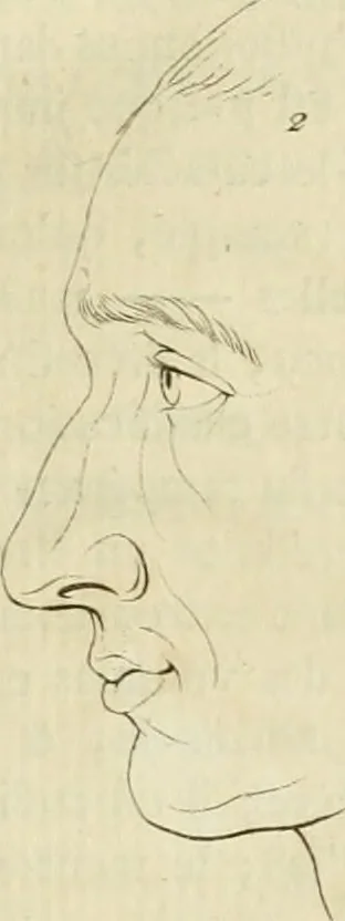 An illustration from Essai sur la physiognomonie : destiné a faire connoître l'homme & à le faire aimer, 1781, leaf 112