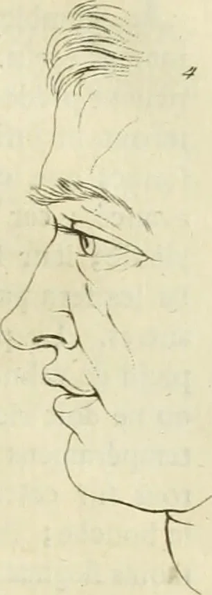 An illustration from Essai sur la physiognomonie : destiné a faire connoître l'homme & à le faire aimer, 1781, leaf 112