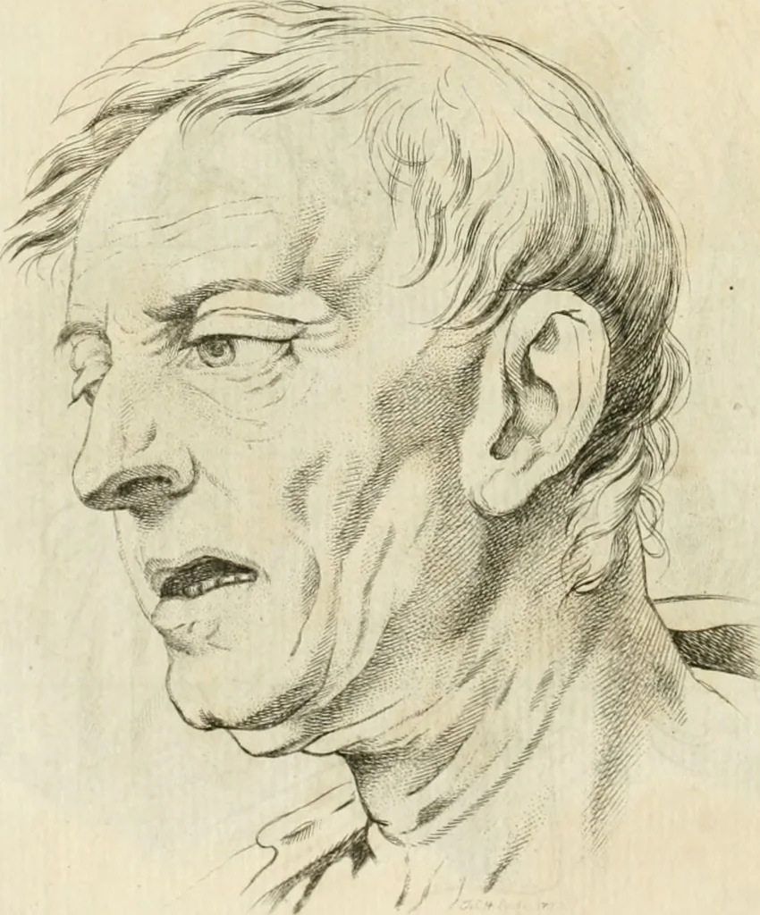An illustration from Essai sur la physiognomonie : destiné a faire connoître l'homme & à le faire aimer, 1781, leaf 115