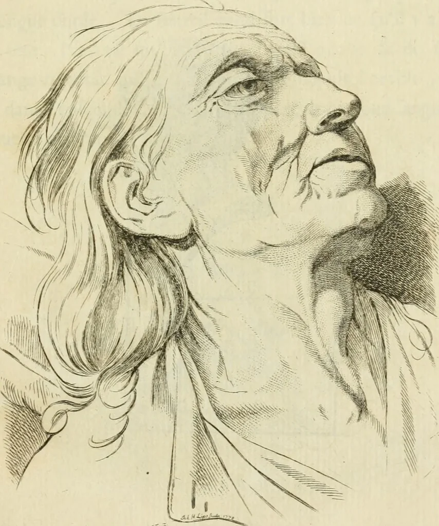 An illustration from Essai sur la physiognomonie : destiné a faire connoître l'homme & à le faire aimer, 1781, leaf 116