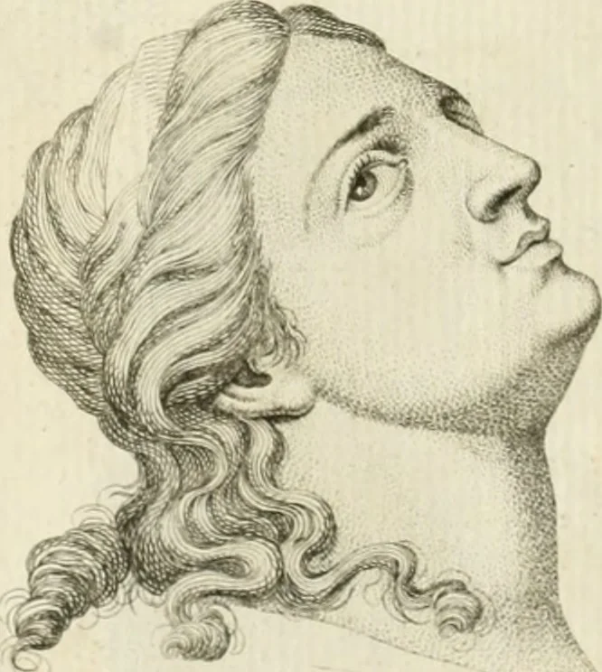 An illustration from Essai sur la physiognomonie : destiné a faire connoître l'homme & à le faire aimer, 1781, leaf 129