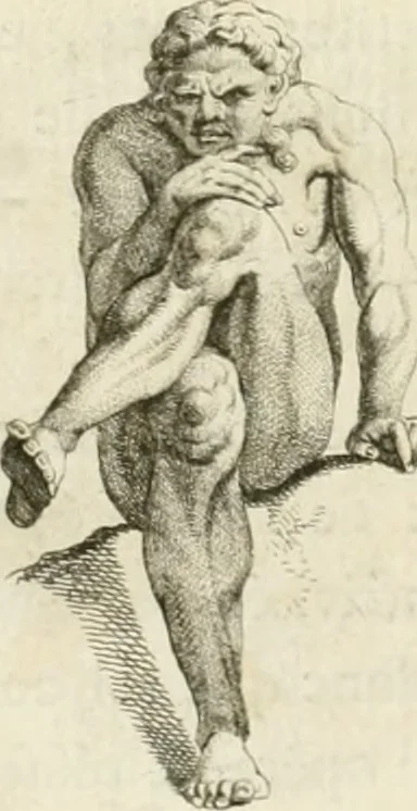 An illustration from Essai sur la physiognomonie : destiné a faire connoître l'homme & à le faire aimer, 1781, leaf 135
