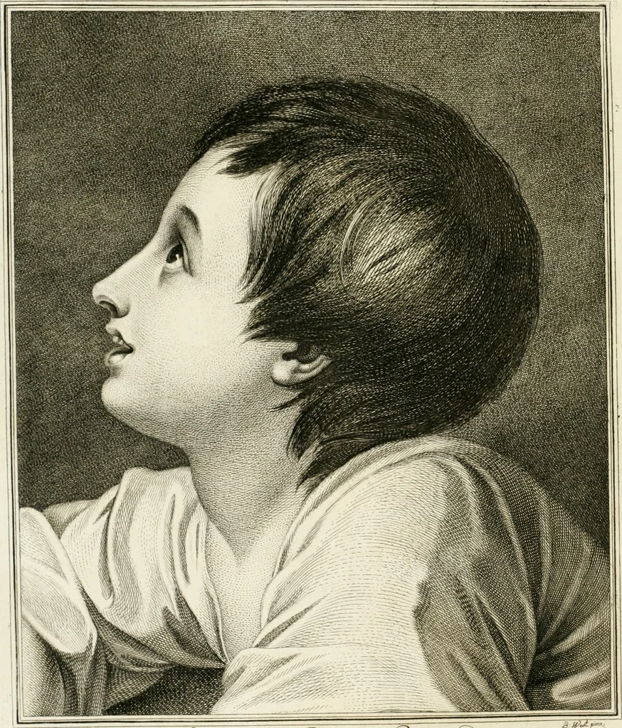 An illustration from Essai sur la physiognomonie : destiné a faire connoître l'homme & à le faire aimer, 1781, leaf 153